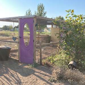The chicken coop
