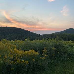 Coy Mountain Camp