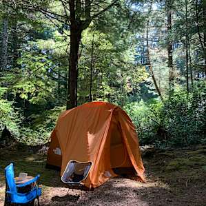 4 person tent in late morning sunbeams