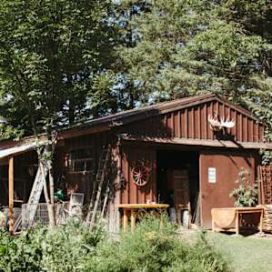 This barn is the gateway to more animal friends including rams, pigs and cows.