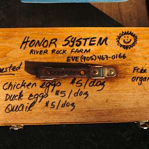 Before you go, don't hesitate to check the cooler for some local goods.