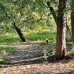 Creek Campsite - Rancho Comienzo