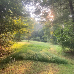Lovely morning light