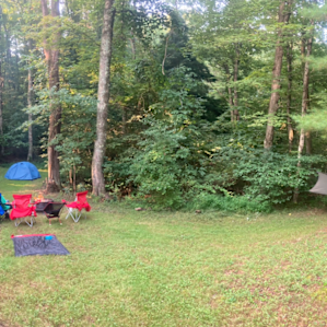 Set up for tents and hammock