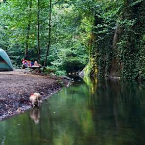 Relax by the river