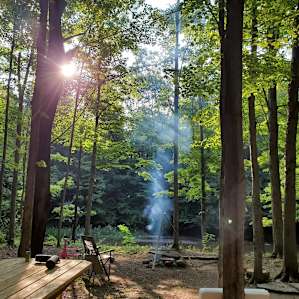 Streamside Eriegrove