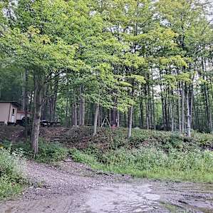 Streamside Eriegrove