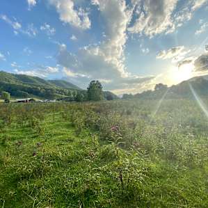 Tent/drycamping, Spectacular views!