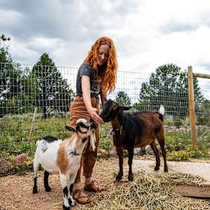 Harvey @ The Little Goat Outpost
