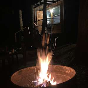 The Nest on Laurel Drive