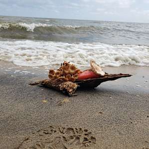 The Muvaland - with private beach