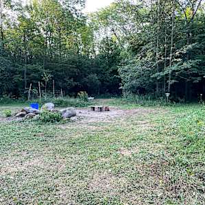 site