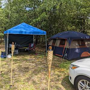 I set up a luxurious campsite that was super private and comfy.