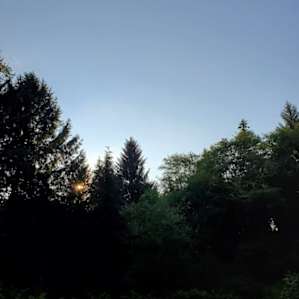 beond organic Nirvana river retreat