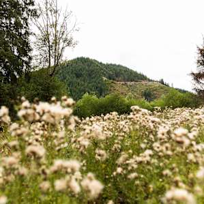 Great views of the mountains surround the property