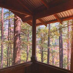 The Sanctuary Treehouse