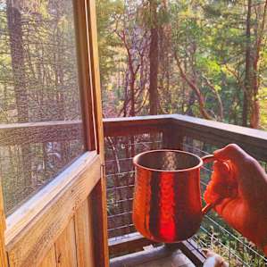 The Sanctuary Treehouse