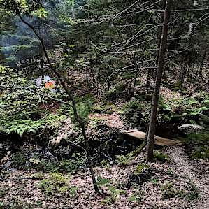 Maine WildWalkWaysONE