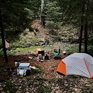 Maine WildWalkWaysONE