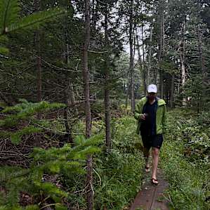 Maine WildWalkWaysONE