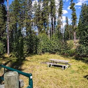 Peaceful Cranbrook Campsite