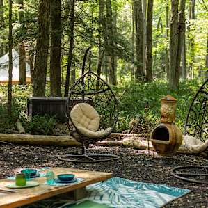 One of the seating areas at Taiga tent #1 - we loved hanging out in these swings, and just taking in the peace and beauty of the forest.