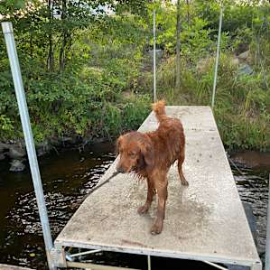 Susan offered use of the dock across the road.