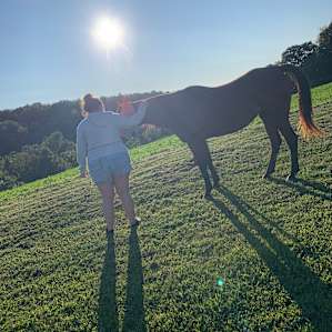 Bree the horse whisper