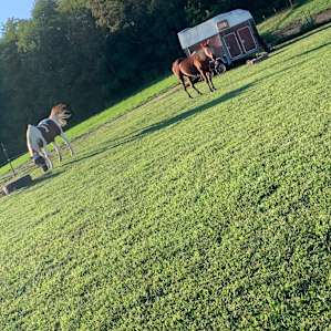 Camping on the farm! Off Grid