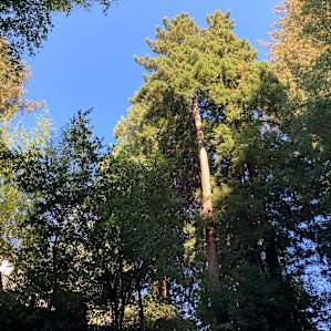 Bigfoot Basin