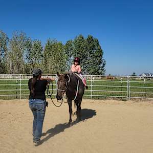 Laughing Horse Camping