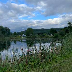 RV site with Electric and Water