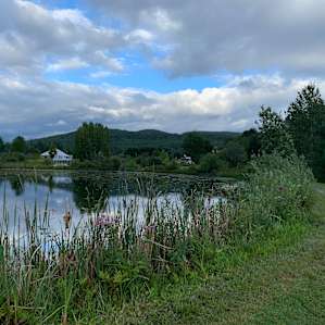 RV site with Electric and Water