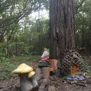 Lost Woods Campground