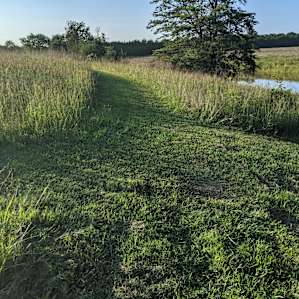 Walking trails