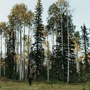 Nature's West