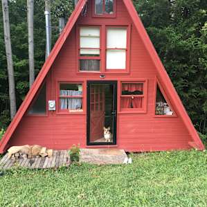 The United Cabin