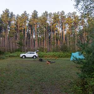 The forest campsite