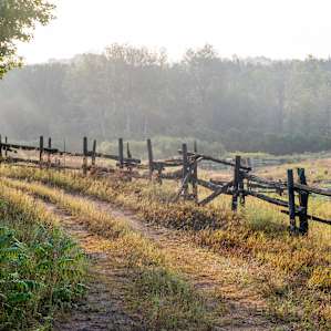 Scenic trails around the property