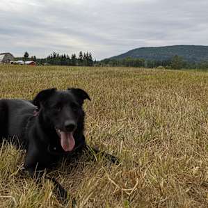 Rustic Field Camping at Rusty Ranch