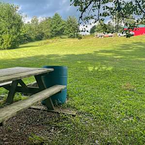 View up the hill from Site 1, towards 2 and then 3