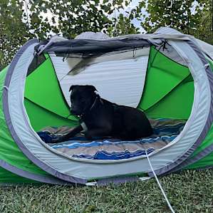 Grins & Pickin's CampFarm - tents