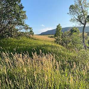 Colorado Meadows & Fishing Pond