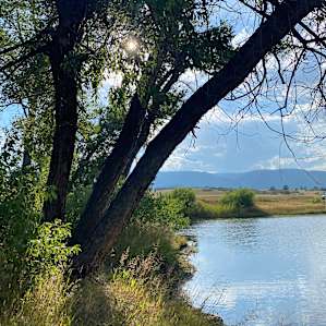 Colorado Meadows & Fishing Pond