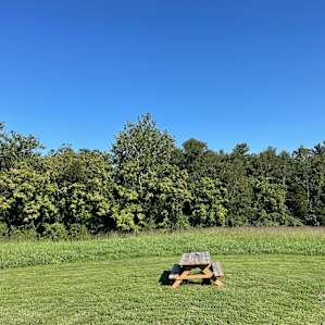 Big Field