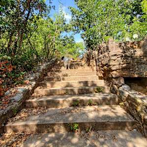 Stairs leading into woods and areas that used to be a zoo!