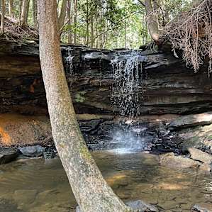 Summer Shoals Retreat & Campground