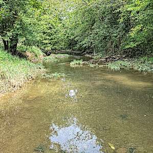 Creek near campsite..you can hear the water rippling