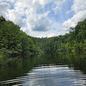 The pond where we caught some fish.