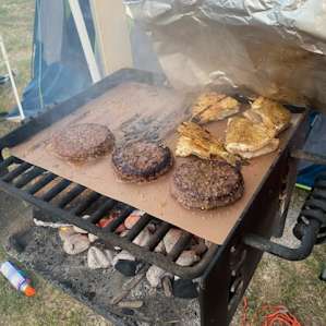 Burgers and fish for dinner